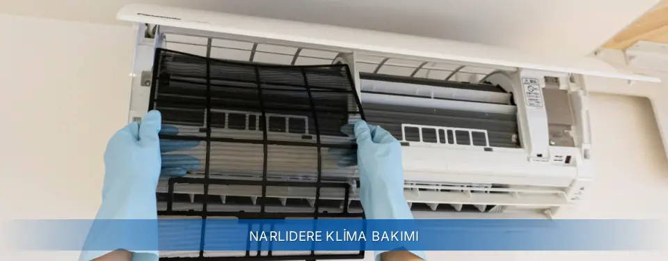 Narlıdere İlçemi Demirdöküm Klima Bakımı